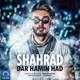  دانلود آهنگ جدید شهراد - در همین حد | Download New Music By Shahrad - Dar Hamin Had