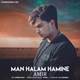  دانلود آهنگ جدید امیر - من حالم همینه | Download New Music By Amir - Man Halam Hamine