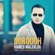  دانلود آهنگ جدید حامد ملک لو - دروغ | Download New Music By Hamed Maleklou - Dorough