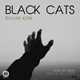  دانلود آهنگ جدید بلک کتس - باور کن | Download New Music By Black Cats - Bavar Kon