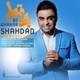  دانلود آهنگ جدید شهداد شعباننژاد - بی قرار | Download New Music By Shahdad Shabannezhad - Bi Gharar