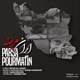  دانلود آهنگ جدید پارسا پورمتین - ایران مریضه | Download New Music By Parsa Pourmatin - Iran Marizeh