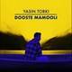  دانلود آهنگ جدید یاسین ترکی - دوست معمولی | Download New Music By Yasin Torki  - Dooste Mamooli