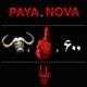  دانلود آهنگ جدید پایه - شیشسدوشاستومیش (فت نوا) | Download New Music By Paya - Shishsadoshastomish (Ft Nova)
