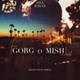  دانلود آهنگ جدید سینا رایان - گرگو میش | Download New Music By Sina Rayan - Gorgo Mish
