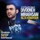  دانلود آهنگ جدید رضا همایون - دیوونه میرقصم | Download New Music By Reza Homayoun - Divooneh Miraghsam