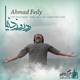  دانلود آهنگ جدید احمد فیلی - دو روز دنیا | Download New Music By Ahmad Feily - Do Rooze Donya