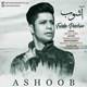  دانلود آهنگ جدید فردین پاسبان - آشوب | Download New Music By Fardin Paseban - Ashoob
