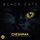  دانلود آهنگ جدید بلک کتس - چشمک | Download New Music By Black Cats - Cheshmak