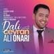  دانلود آهنگ جدید علی اُناری - دلی جیران | Download New Music By Ali Onari - Dali Ceyran