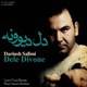  دانلود آهنگ جدید داریوش سلیمی - دل دیوونه | Download New Music By Dariush - Dele Divone