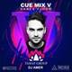 دانلود آهنگ جدید دی جی عامر - Cue Mix V | Download New Music By DJ Amer - Cue Mix V