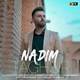  دانلود آهنگ جدید ندیم - تقصیر | Download New Music By Nadim - Taghsir