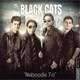  دانلود آهنگ جدید بلک کتس - نبوده تو | Download New Music By Black Cats - Naboode To
