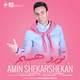  دانلود آهنگ جدید امین شکرشکن - تو رو هستم | Download New Music By Amin Shekarshekan - Toro Hastam
